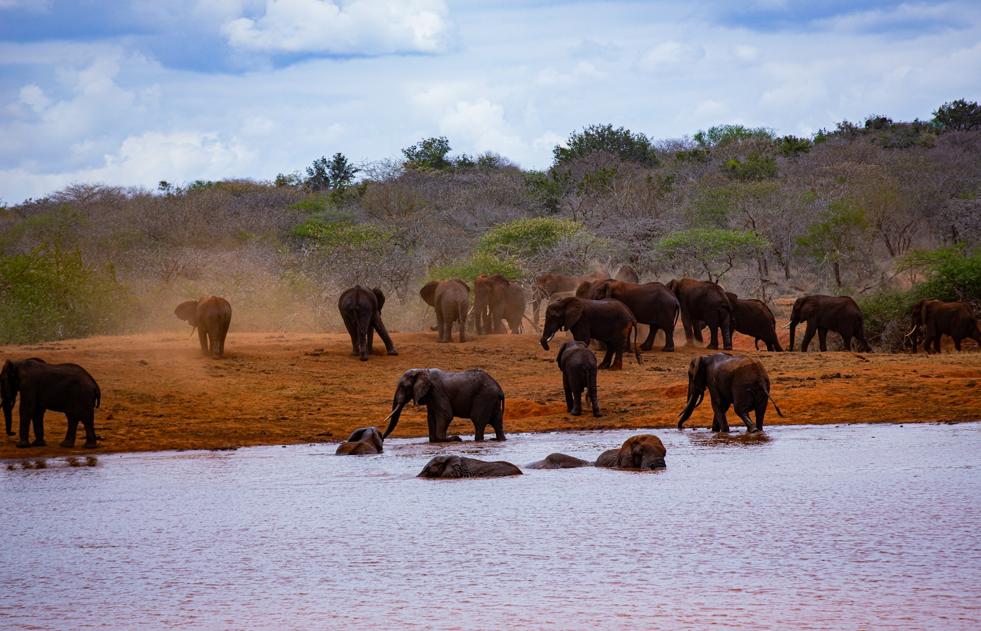 2-Day Tsavo East Safari