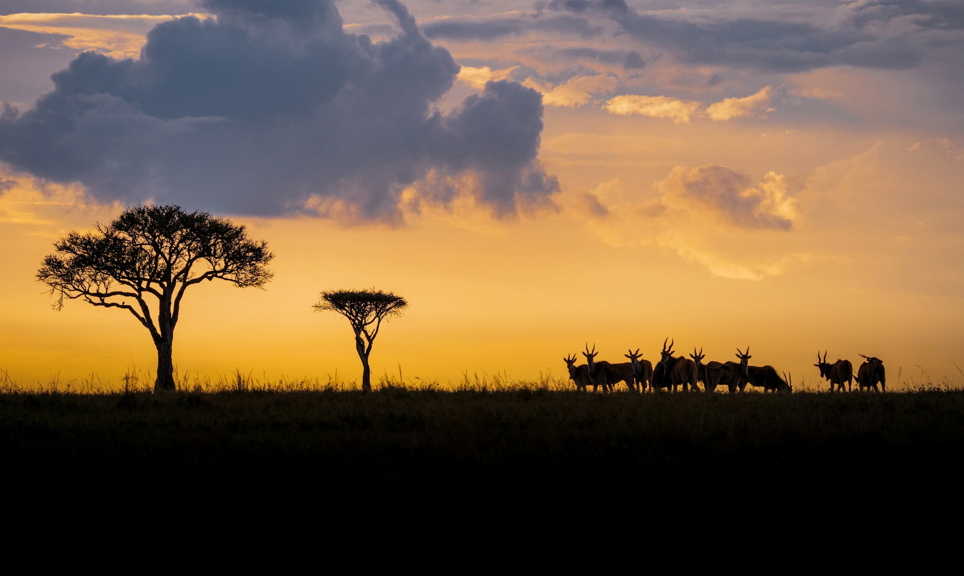 Kenya
