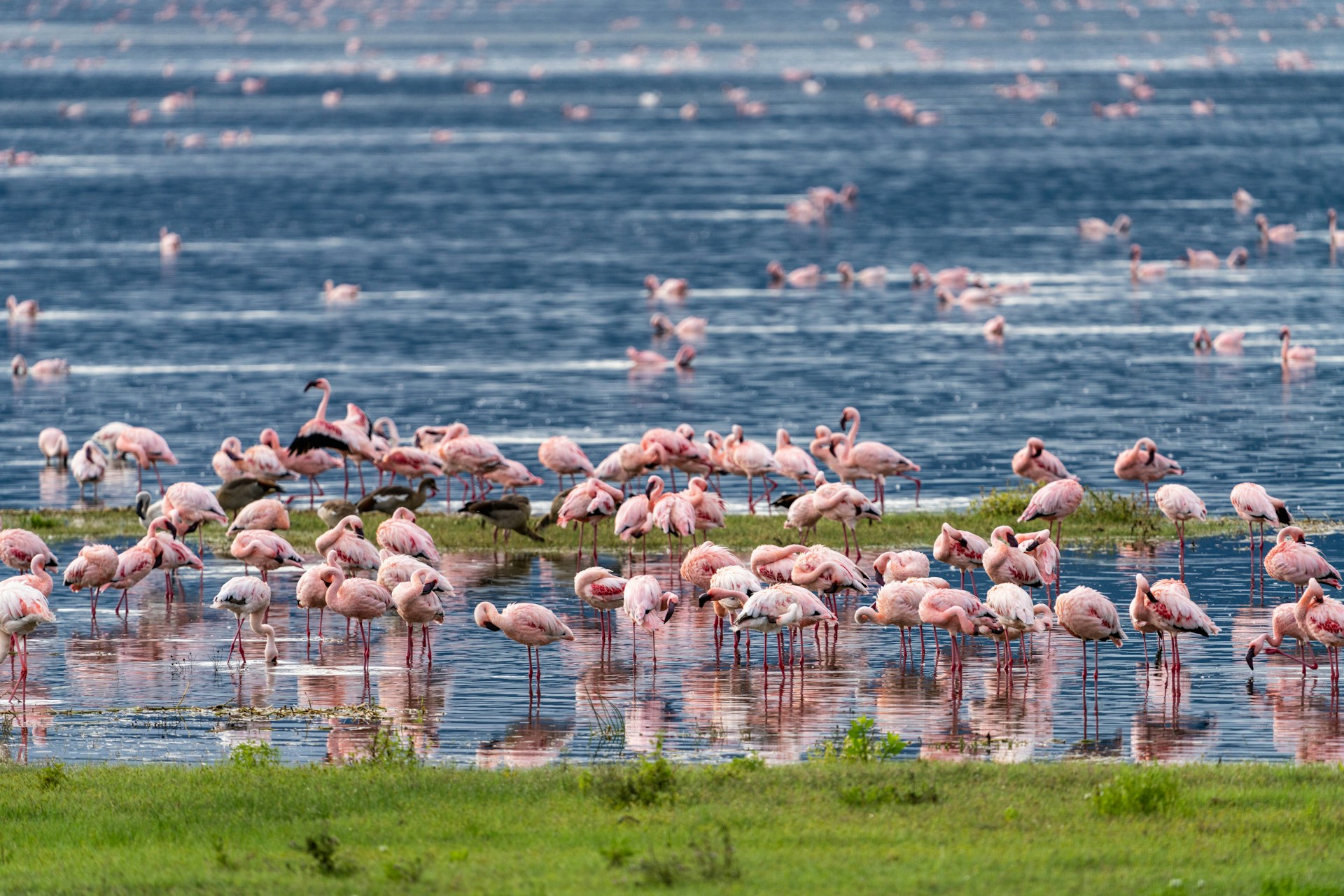 2 Days Tarangire & Ngorongoro Safari