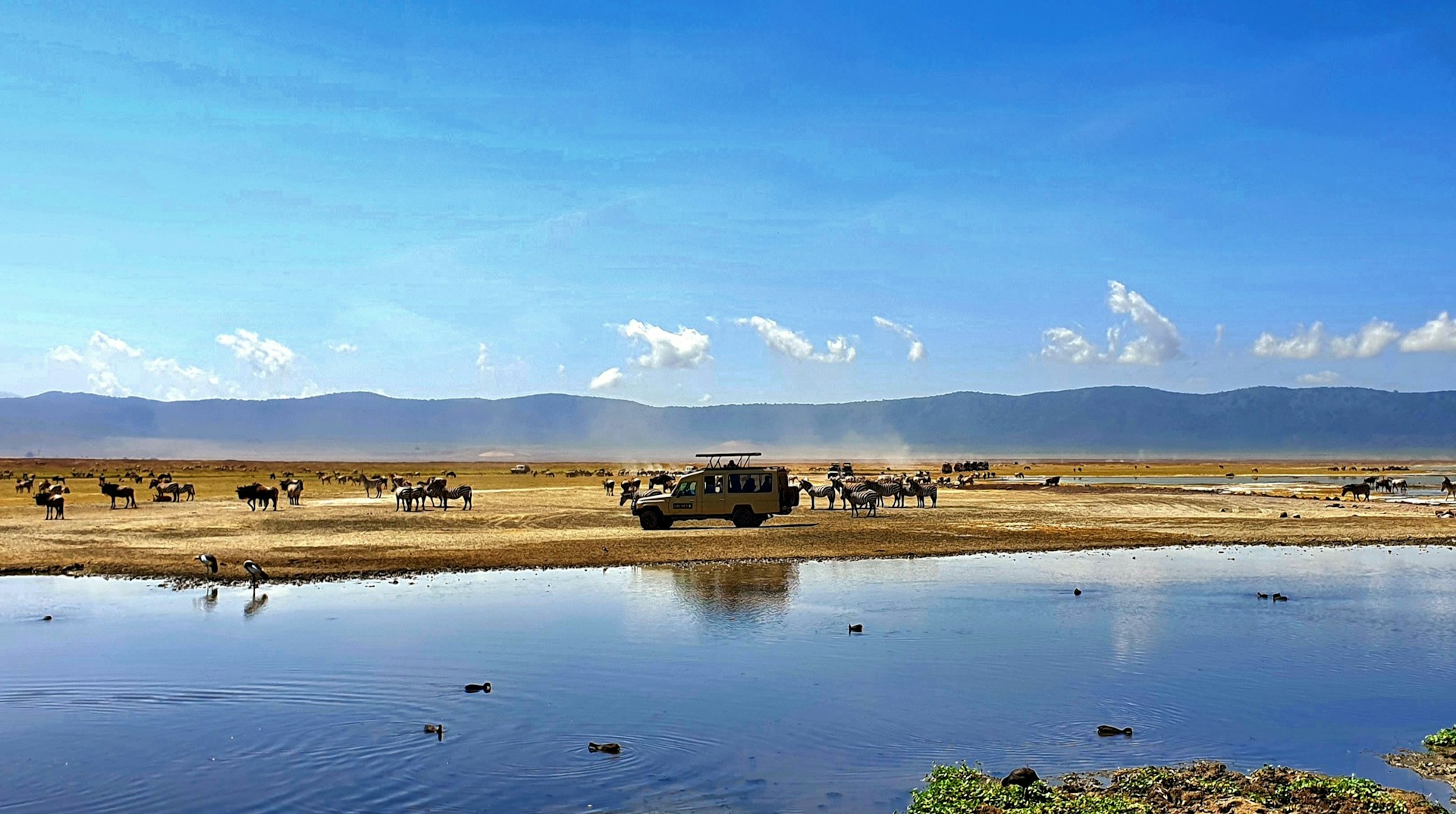 1 Day Ngorongoro Crater Safari