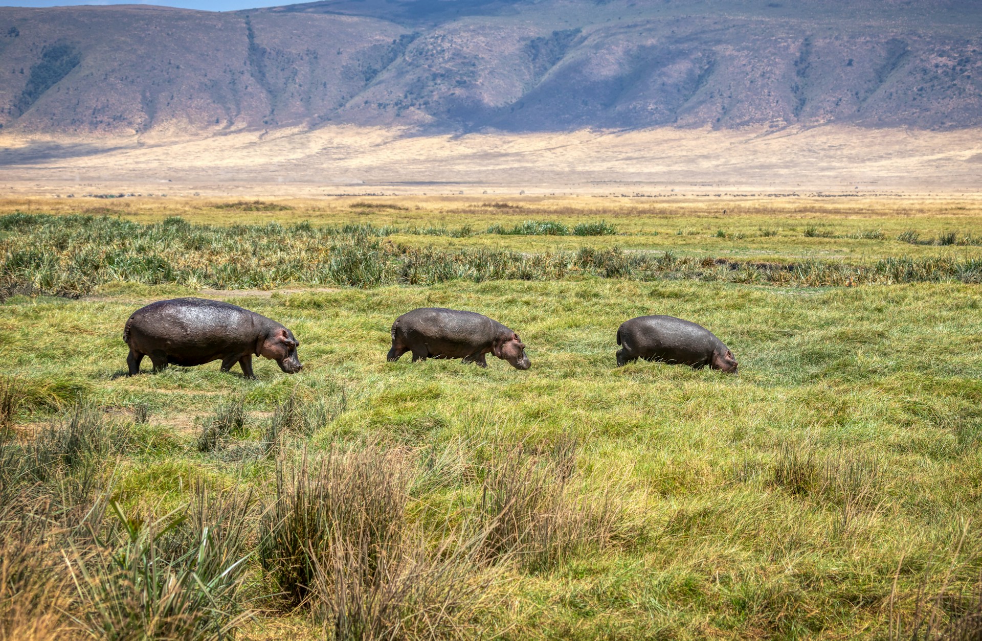 Tanzania