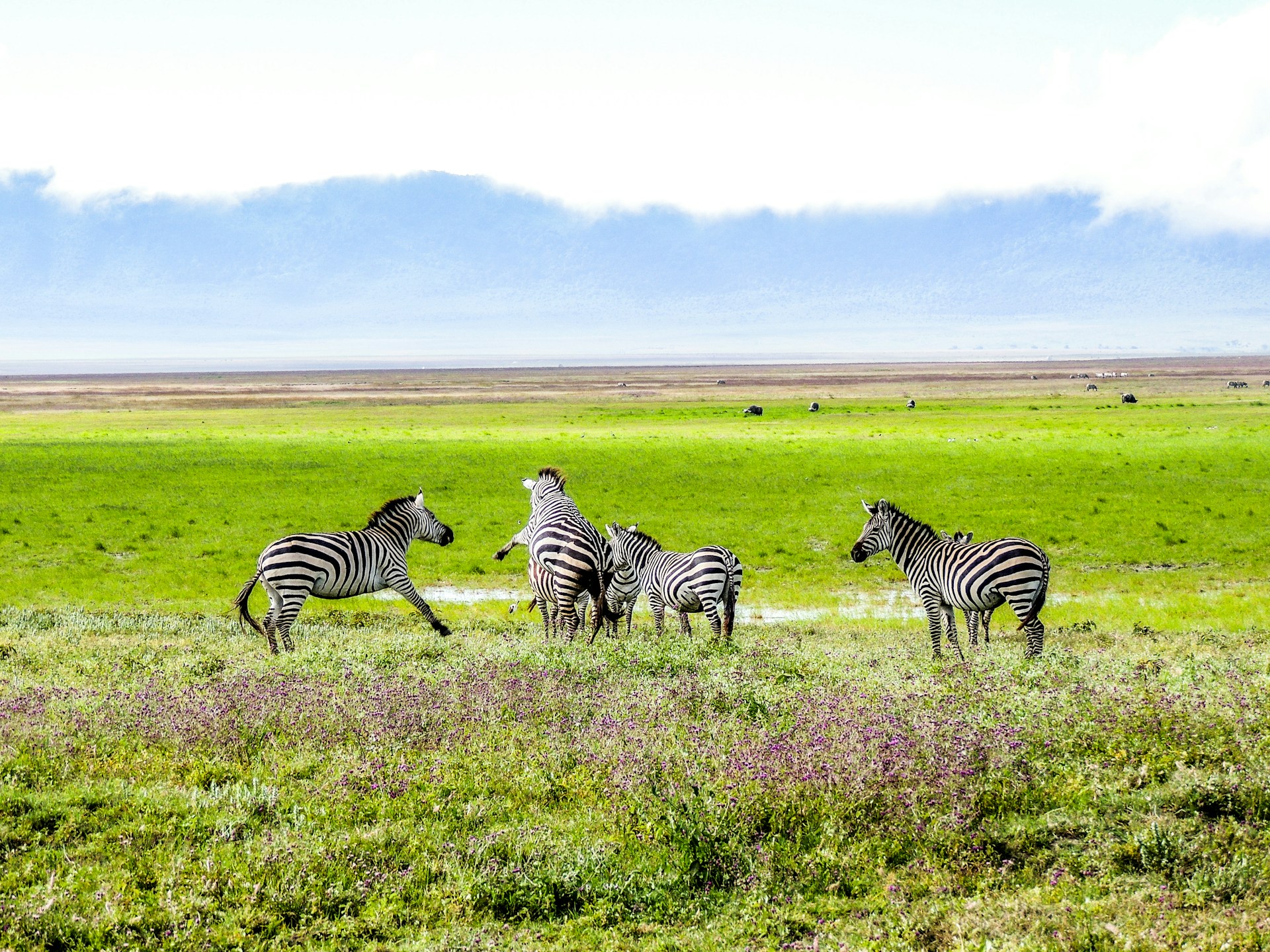 3-Day Serengeti Safari